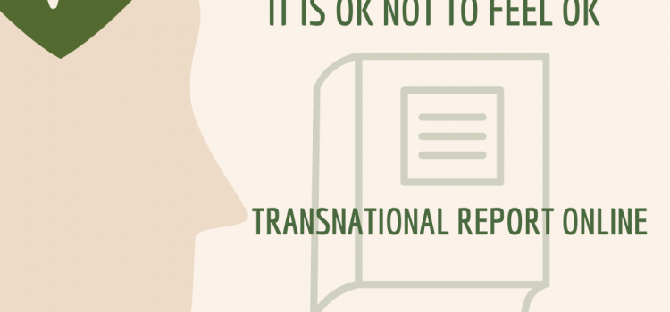 Transnational report – SENSE