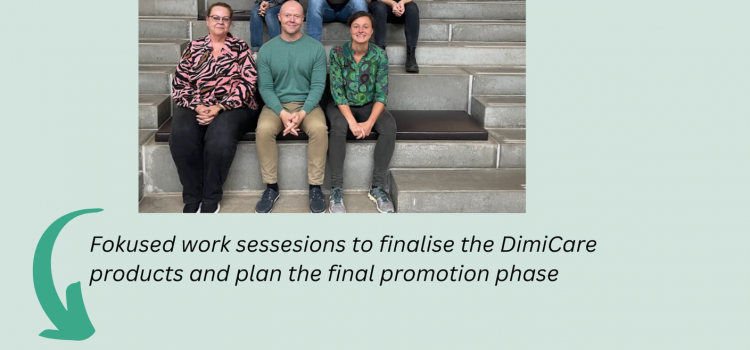 DiMiCare – Final transnational partner meeting